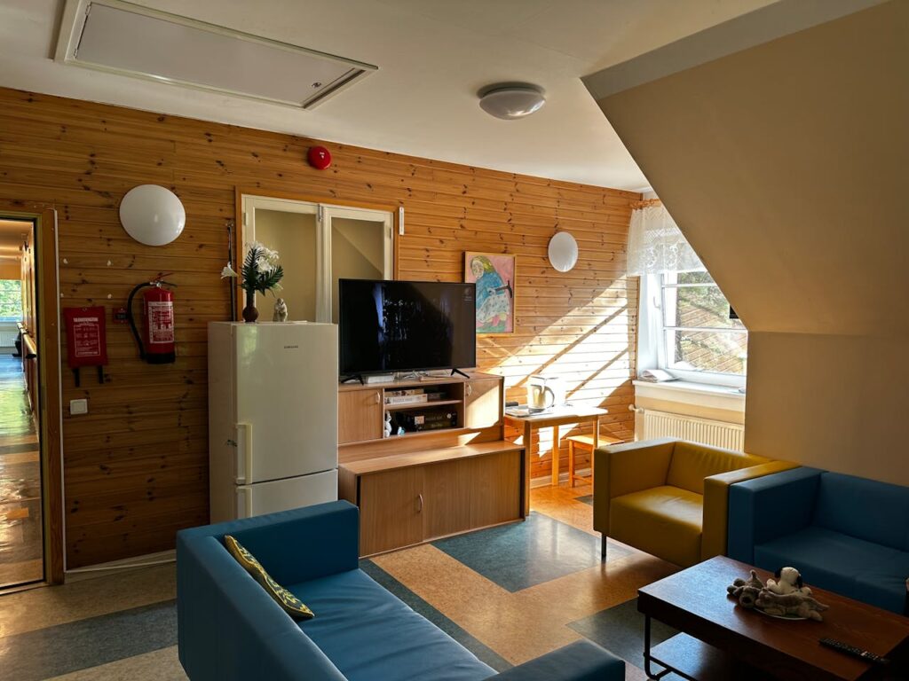 Sunlit Scandinavian-style living room with wooden walls and colorful furniture.